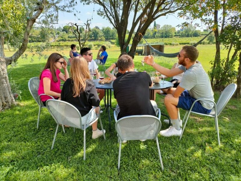 Lazise: Wine Tasting With Charcuterie and Cheese Board - The Experience of Wine Tasting in Lazise