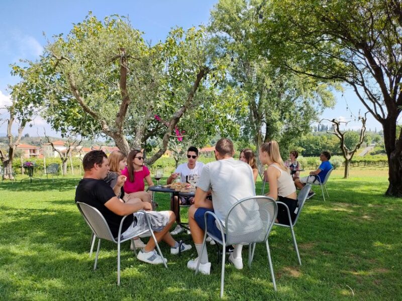 Lazise: Wine Tasting With Charcuterie and Cheese Board - Culinary Delights: Charcuterie and Cheese Pairings