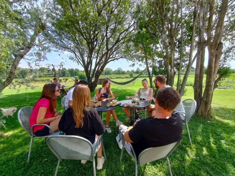Lazise: Wine Tasting With Charcuterie and Cheese Board - The Family-Run Farm: A Commitment to Sustainability