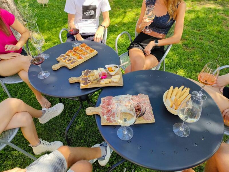 Lazise: Wine Tasting With Charcuterie and Cheese Board - Since Your Asked