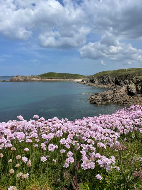 Le Conquet City Tour With a Local Guide - Ribine Experience - Key Points