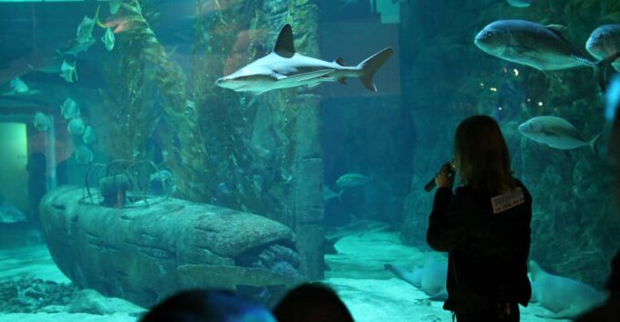 Le Grau-du-Roi: Seaquarium Skip-the-Line Entrance Ticket - Immersive Virtual Reality Experience