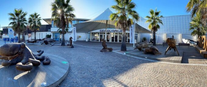 Le Grau-du-Roi: Seaquarium Skip-the-Line Entrance Ticket - Planning Your Visit to Seaquarium