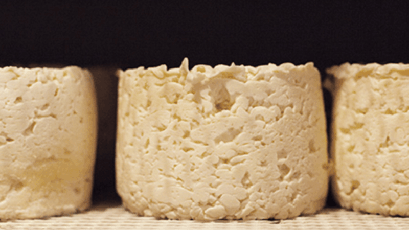 Le Mans Gourmet Food Walking Tour Discover Sarthes Flavors - Culinary Experience and Highlights