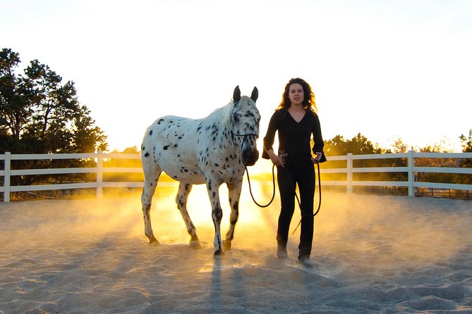 Leadership & Mindfulness Retreat With Horses - Individual & Group - Highlights of the Experience