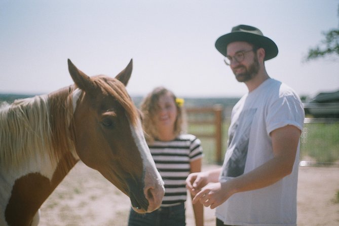 Leadership & Mindfulness Retreat With Horses - Individual & Group - No Prior Experience Required