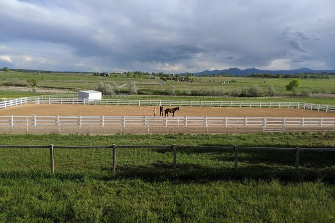 Leadership & Mindfulness Retreat With Horses - Individual & Group - Discovery of Unique Gifts