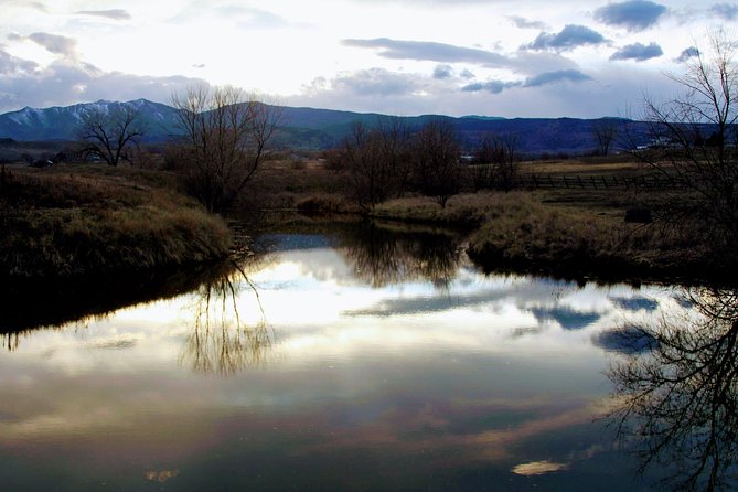 Leadership & Mindfulness Retreat With Horses - Individual & Group - Most Travelers Can Participate