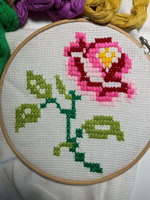Learn About Cross Stitch Embroidery - Merida, Yucatan - Learning Experience