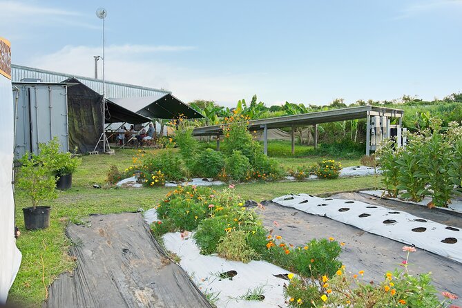 Learn About Organic Farming - Amenities and Accessibility