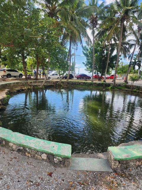 Learn About the History of Bayahibe and Bathe in 7 Springs - Local Insights and Guides
