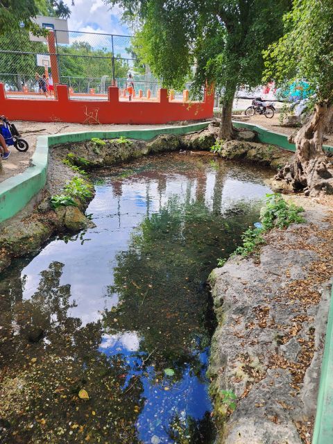 Learn About the History of Bayahibe and Bathe in 7 Springs - Accessibility and Language Support