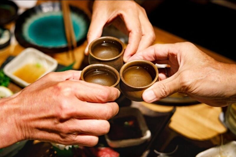 Learn and Experience Traditional Japanese Cuisine and Sake at Izakaya - Highlights of the Culinary Tour