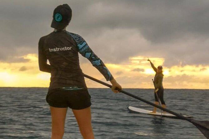 Learn Paddle Board and Explore the Mangroves of Progreso - Meeting Point and Schedule