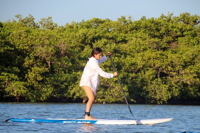 Learn Paddle Board and Explore the Mangroves of Progreso - Booking and Cancellation