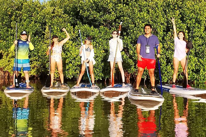 Learn Paddle Board and Explore the Mangroves of Progreso - Reviews and Ratings
