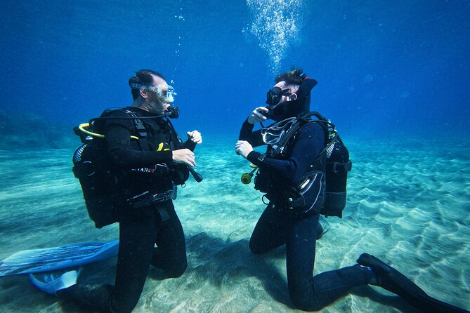Learn Scuba Diving in Tenerife With Photos Included - Meeting Point and Location