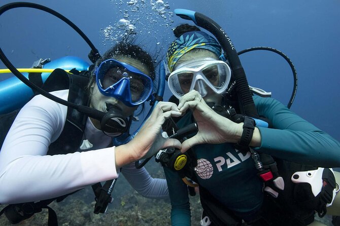 Learn Scuba Diving in Tenerife With Photos Included - Schedule and Availability