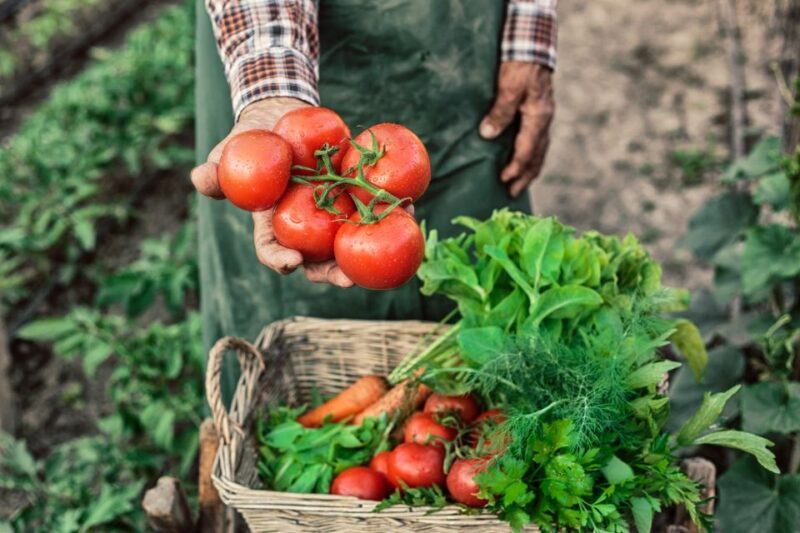 Learn to Cook Authentic Corfu Recipes With a Local Cook - Enjoying a Traditional Corfiot Lunch