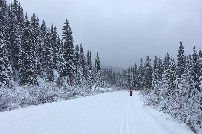Learn to Cross Country Ski in Lake Louise - Included in the Experience