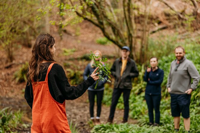 Learn to Forage in Llangollen - Experience Highlights