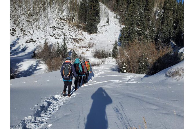 Learn to Ice Climb! Half-Day All Abilities Near Breckenridge - Gear and Equipment Provided