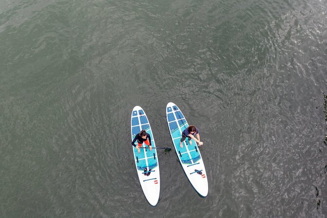 Learn to Paddle Board on the San Francisco Bay! - Recap