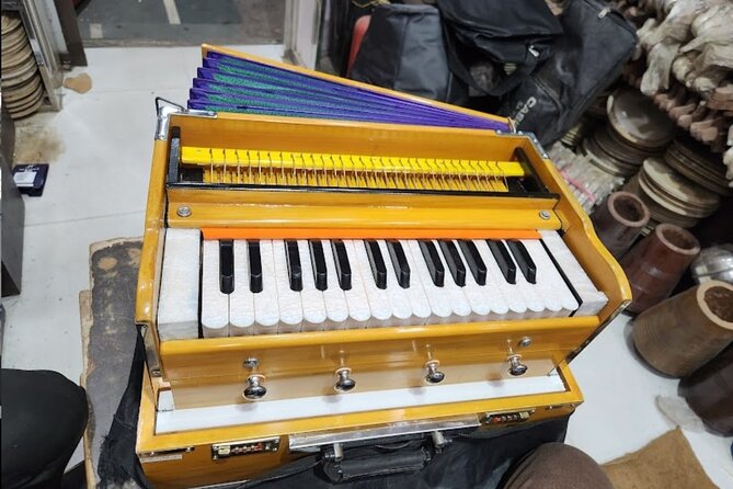 Learn to Play a Traditional Indian Instrument in Varanasi! - The Learning Experience