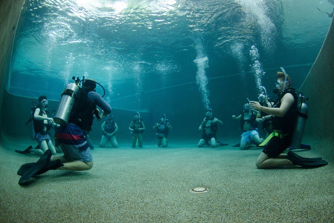 Learn To Scuba Dive: 4 Day Great Barrier Reef PADI Open Water Course Day Trips - Included Amenities