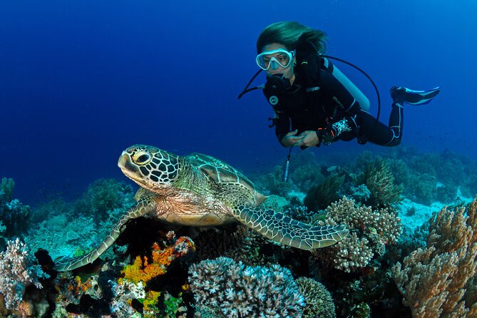 Learn to Scuba Dive With a Professional Instructor in Key Largo - All Inclusive - Tour Group Size