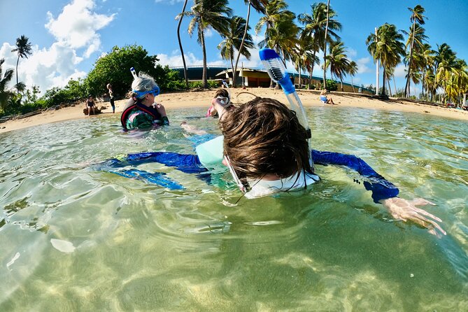 Learn to Snorkel for Families W Children in San Juan, Puerto Rico - Participant Fitness and Accessibility