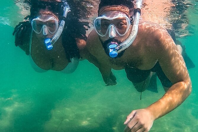 Learn to Snorkel With Fish and Turtles - Overview of the Experience