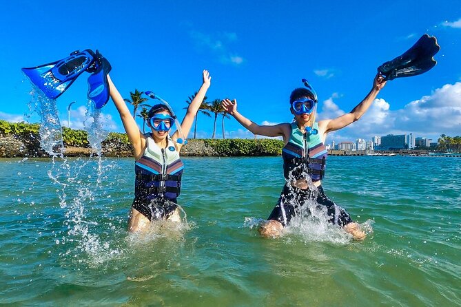 Learn to Snorkel With Fish and Turtles - Accessibility and COVID-19 Protocols