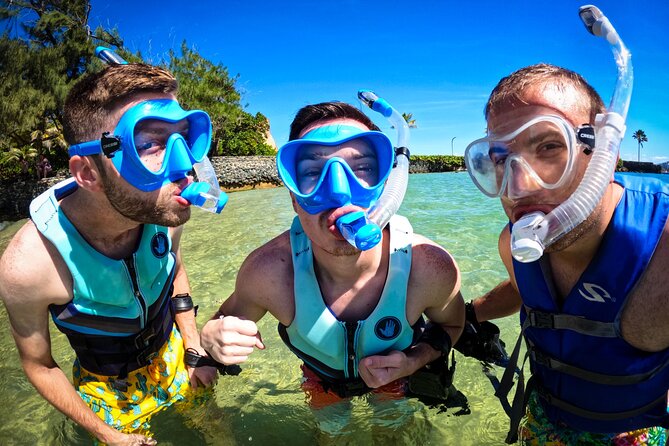 Learn to Snorkel With Fish and Turtles - Positive Guest Feedback and Testimonials