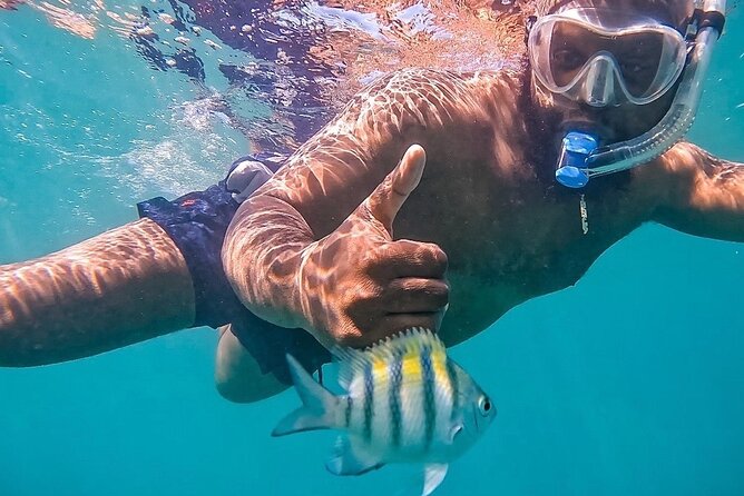 Learn to Snorkel With Fish and Turtles - Exploring Marine Life in Puerto Rico
