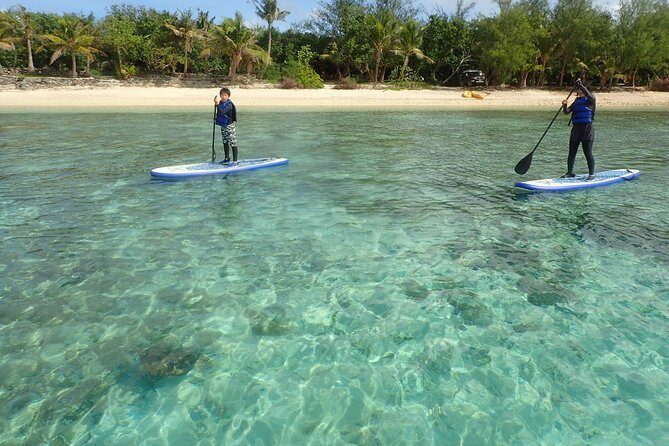 Learn to Stand Up Paddleboard! Includes 5 Star Snorkeling Tour! - The Value of This Tour