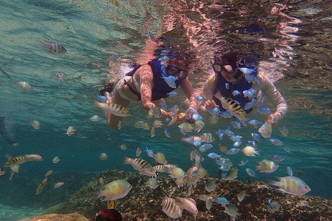 Learn to Stand Up Paddleboard! Includes 5 Star Snorkeling Tour! - Practical Tips for Participants
