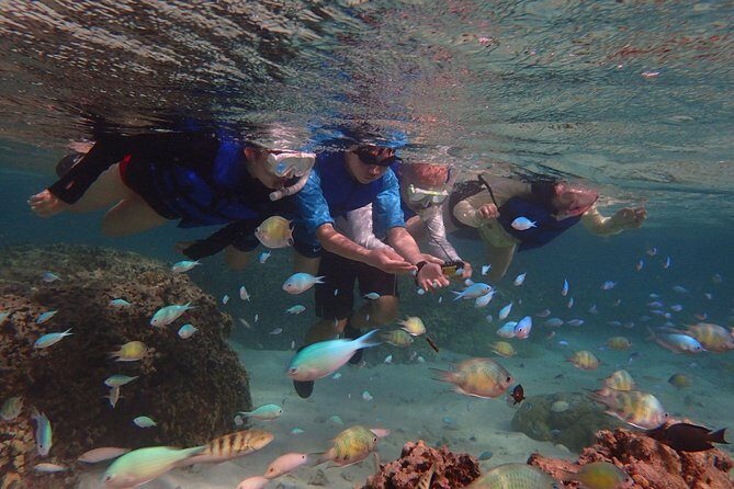 Learn to Stand Up Paddleboard! Includes 5 Star Snorkeling Tour! - The Sum Up