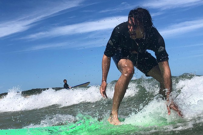 Learn to Surf Day Trip - Sydney - Wildlife and Scenic Highlights