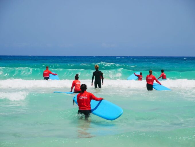 Learn to Surf in the North of Fuerteventura! - What to Expect