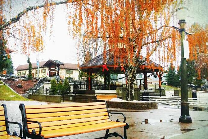 Leavenworth, Mount Rainier National Park 2-Day Tour From Seattle - Health and Safety Policies