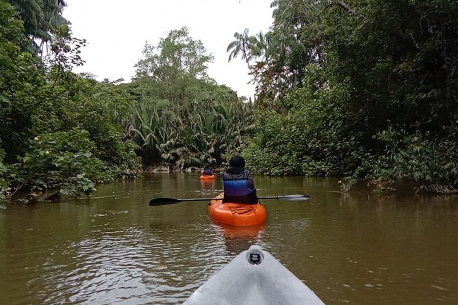 Lebam River Kayaking Adventure - Cancellation Policy