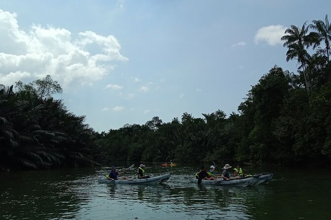Lebam River Kayaking Adventure - Highlights of the Experience