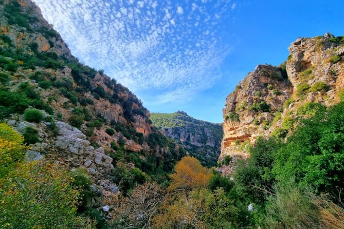 Lebanon Waterfalls Tour - Taking in Nature
