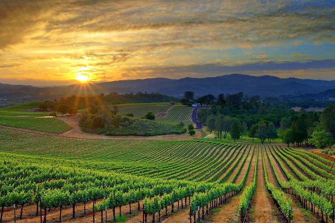 Lebanon Wine Tasting Tour From Beirut - Tour Details and Logistics