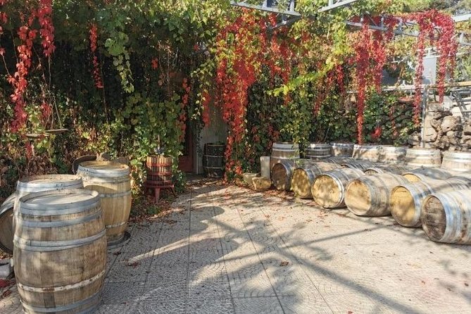 Lebanon Wine Tasting Tour From Beirut - Tasting Lebanons Wine Heritage