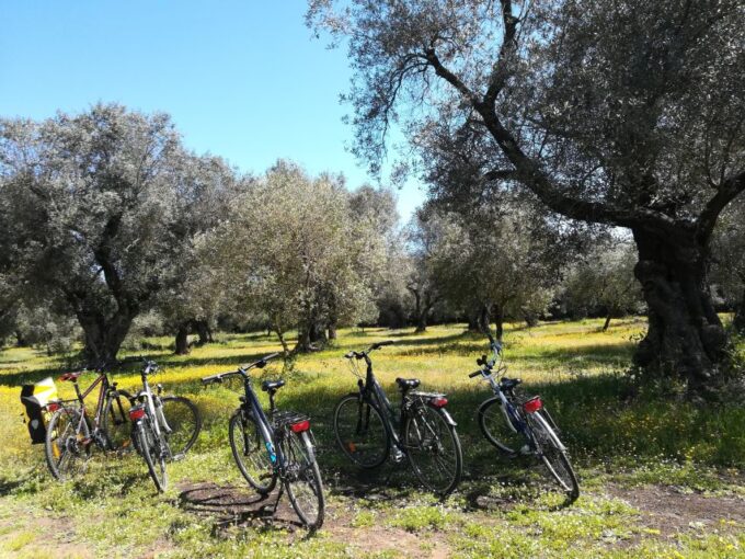 Lecce: Bike Rental (City, Trekking, E-Bikes) - Included Equipment and Add-ons