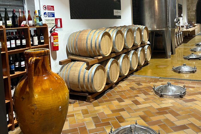 Lecce: E-Bike Tour to Galatina With Old Olive Mill & Wine Tasting - Exploring Lecce and Galatina