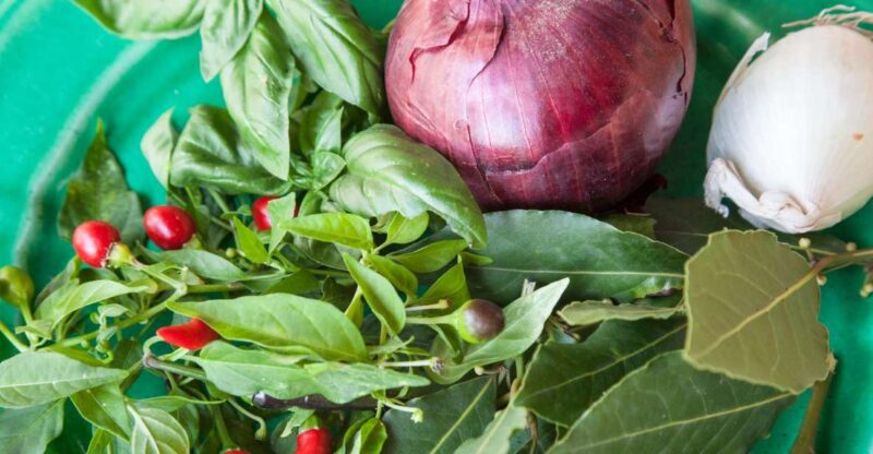 Lecce: Market and Private Cooking Class at a Locals Home - Inclusions of the Package