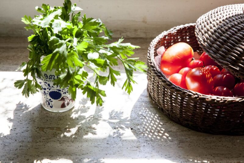 Lecce: Private Cooking Class at a Locals Home - About the Instructor